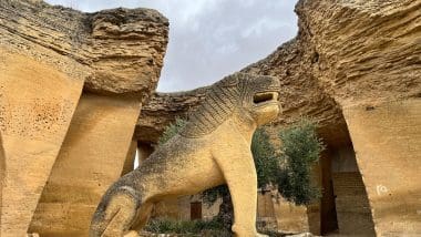 Petra Andaluzji - Zwiedzamy El Coto De Las Canteras