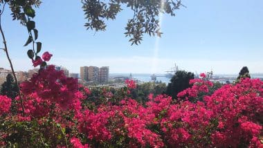 Malaga, Miasto Słońca I Kultury. Odkryj Jej Urok I Poznaj Największe Atrakcje
