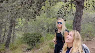 Video / Trekking W Górach Torremolinos