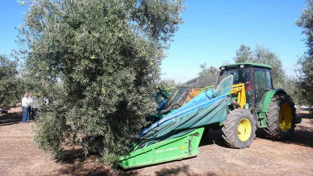 Jaen - Kraina gajów oliwnych