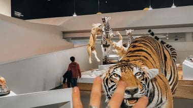 Parque De Las Ciencias - Interaktywna Podróż Do Świata Nauki