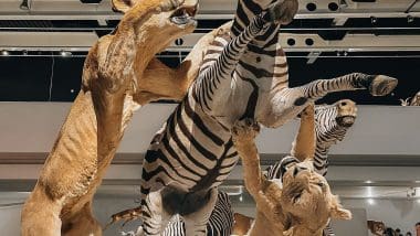Parque De Las Ciencias - Interaktywna Podróż Do Świata Nauki