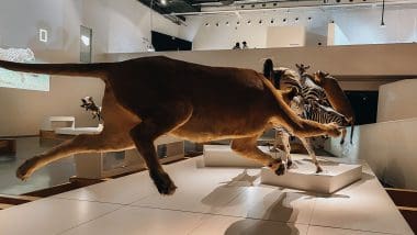Parque De Las Ciencias - Interaktywna Podróż Do Świata Nauki