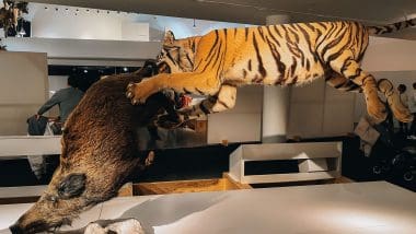 Parque De Las Ciencias - Interaktywna Podróż Do Świata Nauki