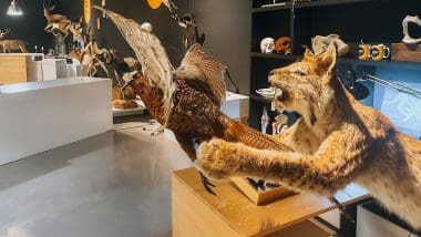 Parque De Las Ciencias - Interaktywna Podróż Do Świata Nauki