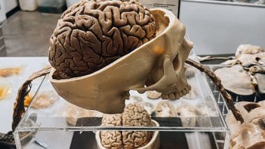 Parque De Las Ciencias - Interaktywna Podróż Do Świata Nauki