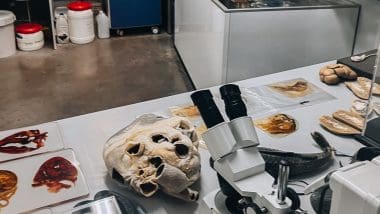 Parque De Las Ciencias - Interaktywna Podróż Do Świata Nauki