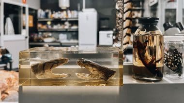 Parque De Las Ciencias - Interaktywna Podróż Do Świata Nauki
