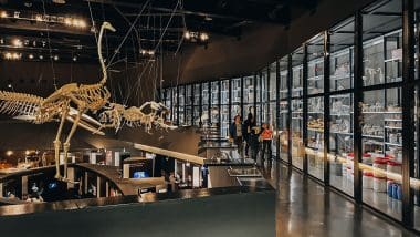 Parque De Las Ciencias - Interaktywna Podróż Do Świata Nauki