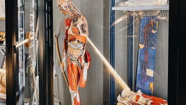 Parque De Las Ciencias - Interaktywna Podróż Do Świata Nauki