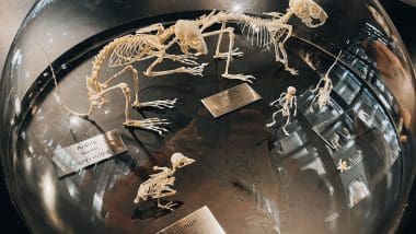 Parque De Las Ciencias - Interaktywna Podróż Do Świata Nauki