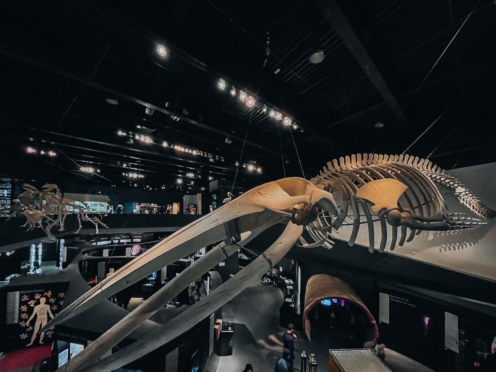 Parque De Las Ciencias - Interaktywna Podróż Do Świata Nauki
