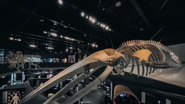 Parque De Las Ciencias - Interaktywna Podróż Do Świata Nauki