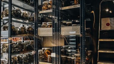 Parque De Las Ciencias - Interaktywna Podróż Do Świata Nauki