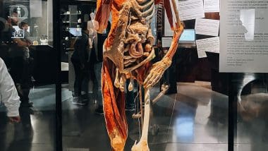 Parque De Las Ciencias - Interaktywna Podróż Do Świata Nauki