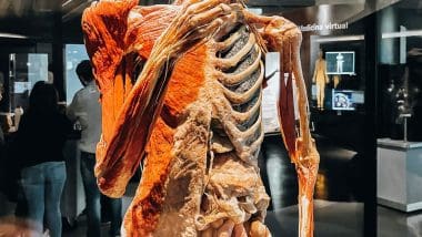 Parque De Las Ciencias - Interaktywna Podróż Do Świata Nauki