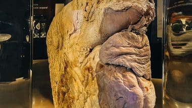 Parque De Las Ciencias - Interaktywna Podróż Do Świata Nauki