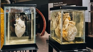 Parque De Las Ciencias - Interaktywna Podróż Do Świata Nauki