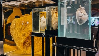 Parque De Las Ciencias - Interaktywna Podróż Do Świata Nauki