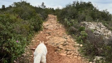Trekking | Szlakiem Po Wzgórzach Faro Do Moinho Das Estrellas
