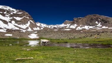 Wyprawa Na Najwyższy Szczyt Półwyspu Iberyjskiego, Mulhacen 3478,6 M N.p.m.