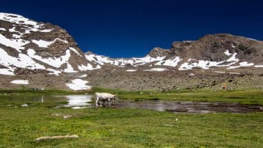 Wyprawa na najwyższy szczyt Półwyspu Iberyjskiego, Mulhacen 3478,6 m n.p.m.