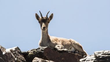 Wyprawa Na Najwyższy Szczyt Półwyspu Iberyjskiego, Mulhacen 3478,6 M N.p.m.