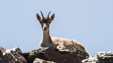 Wyprawa na najwyższy szczyt Półwyspu Iberyjskiego, Mulhacen 3478,6 m n.p.m.