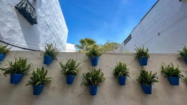 Marbella - Miasto Słońca I Luksusu