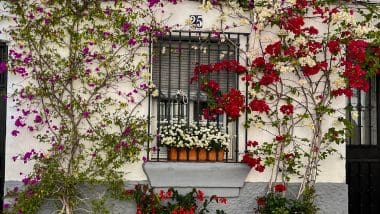 Marbella - Miasto Słońca I Luksusu