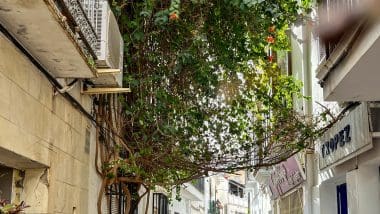 Marbella - Miasto Słońca I Luksusu