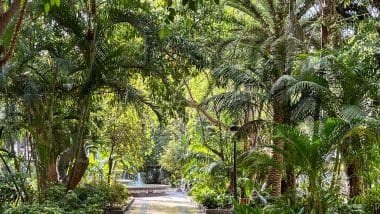 Marbella - Miasto Słońca I Luksusu