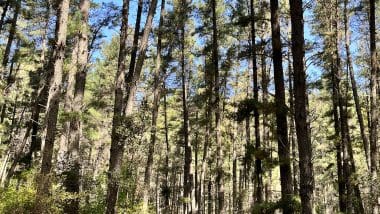 Hike | Wejście Na Pico De La Concha 1210M - Marbella