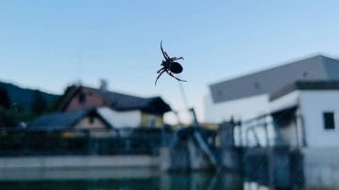 Kamperem Przez Europę, Część 2