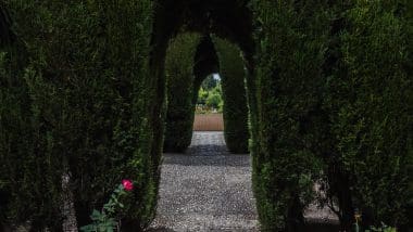 Granada - Tego Miasta Nie Można Pominąć Podczas Podróży Do Andaluzji!