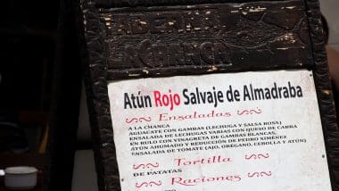 Almadrába - Sposób Na Tuńczyka