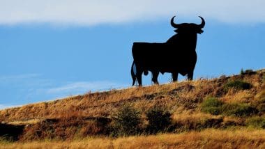 Złap Byka Za Rogi - Andaluzyjskie Symbole