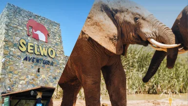 Selwo Aventura W Esteponie. Na Safari Do Anadluzji ???