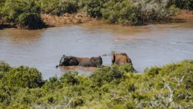 Selwo Aventura W Esteponie. Na Safari Do Anadluzji ???
