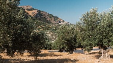 Trekking | Jaen - Rio Borosa