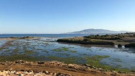 Vera, Playazo De Villaricos - Darmowy Kamping Nad Morzem
