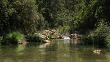 Trekking | Jaen - Rio Borosa