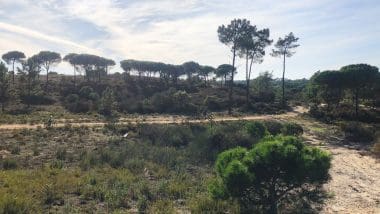 Trasy Rowerowe | Wycieczka Rowerowa Brzegiem Oceanu W Algarve