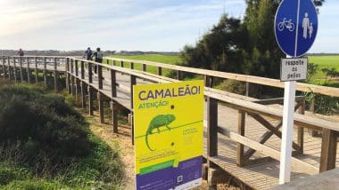 Trasy Rowerowe | Wycieczka Rowerowa Brzegiem Oceanu W Algarve