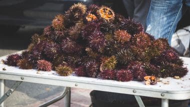Tarifa - Podróż Na Najbardziej Wysunięty Na Południe Punkt Europy!