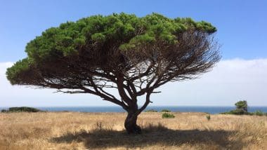 Tarifa - Podróż Na Najbardziej Wysunięty Na Południe Punkt Europy!