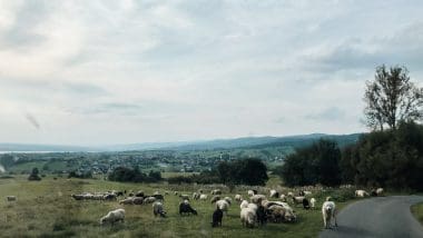 Podróże Kamperem Po Polsce - Kemping Łęg, Jezioro Czorsztyńskie