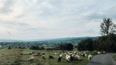 Podróże kamperem po Polsce - Kemping ŁĘG, Jezioro Czorsztyńskie