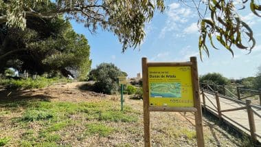 Najlepsza Plaża W Prowincji Malaga - Plaża Cabopino W Marbella