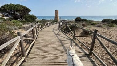 Najlepsza Plaża W Prowincji Malaga - Plaża Cabopino W Marbella
